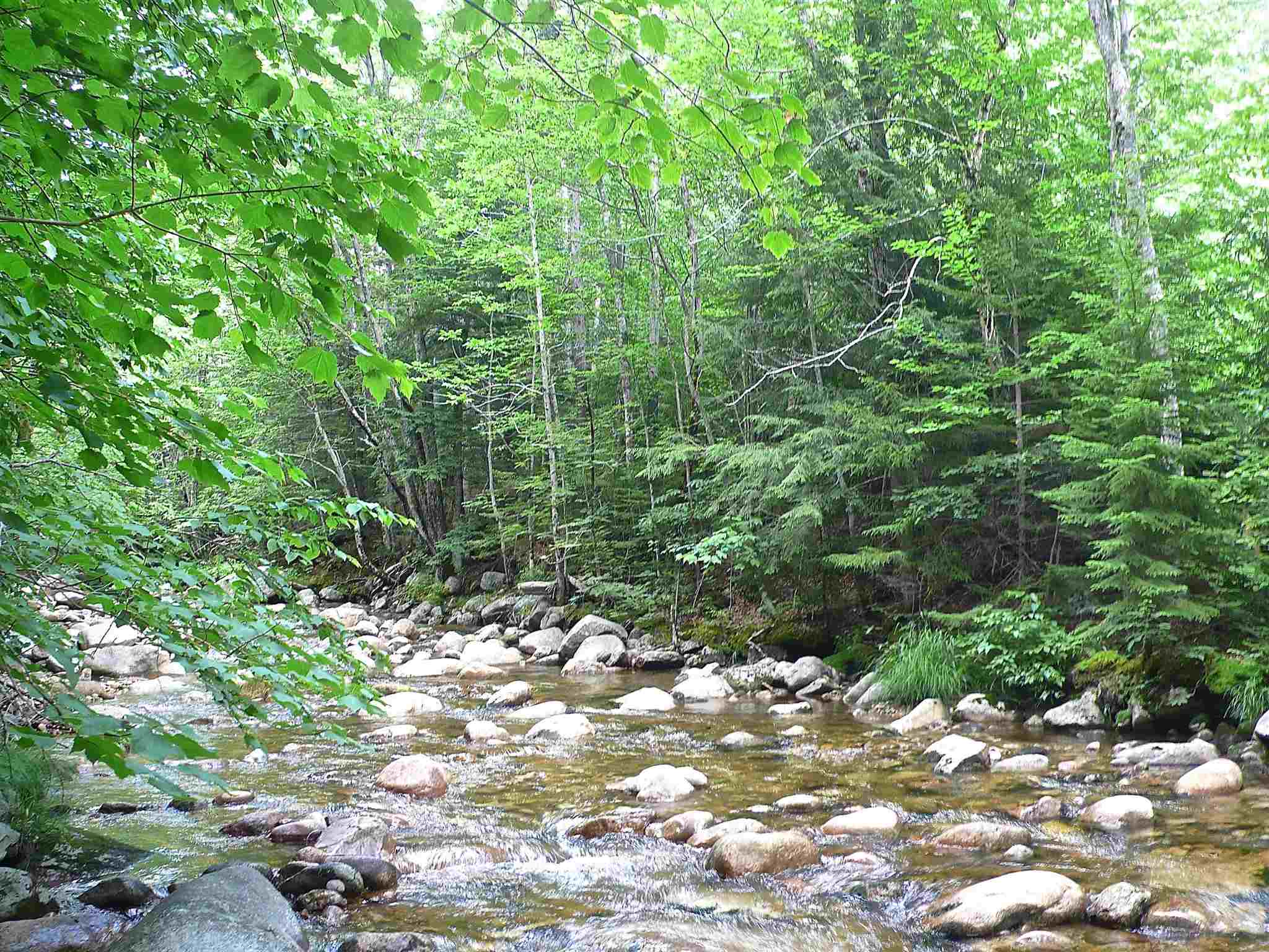 127 West Branch Road, Unit C Waterville Valley, NH 03215 - Photo 11 of 17