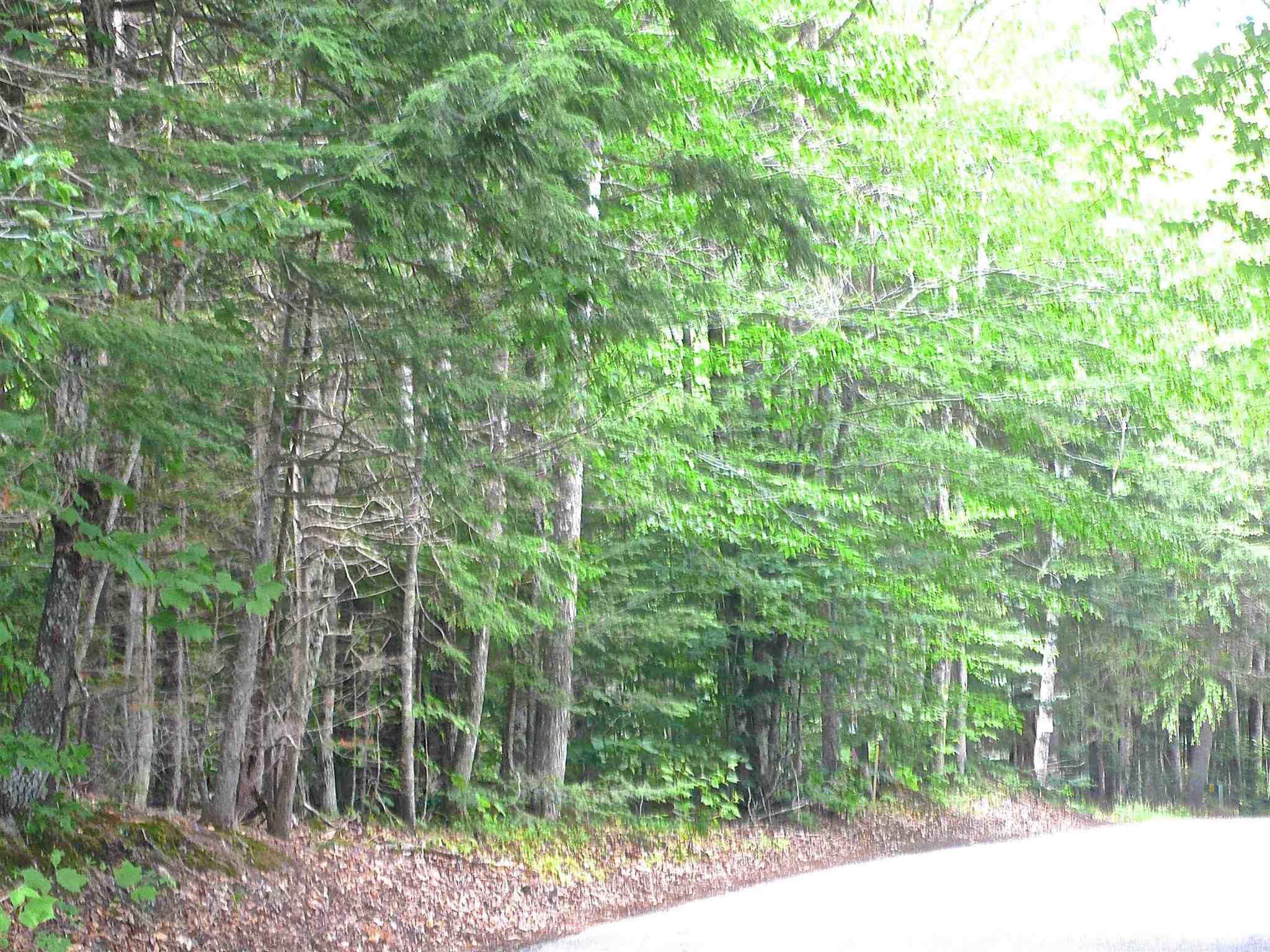 127 West Branch Road, Unit C Waterville Valley, NH 03215 - Photo 16 of 17