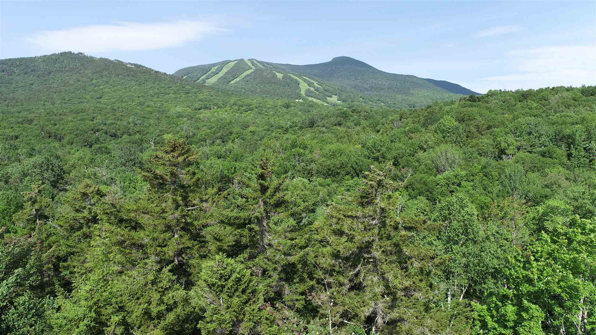 127 West Branch Road, Unit C Waterville Valley, NH 03215 - Photo 4 of 17