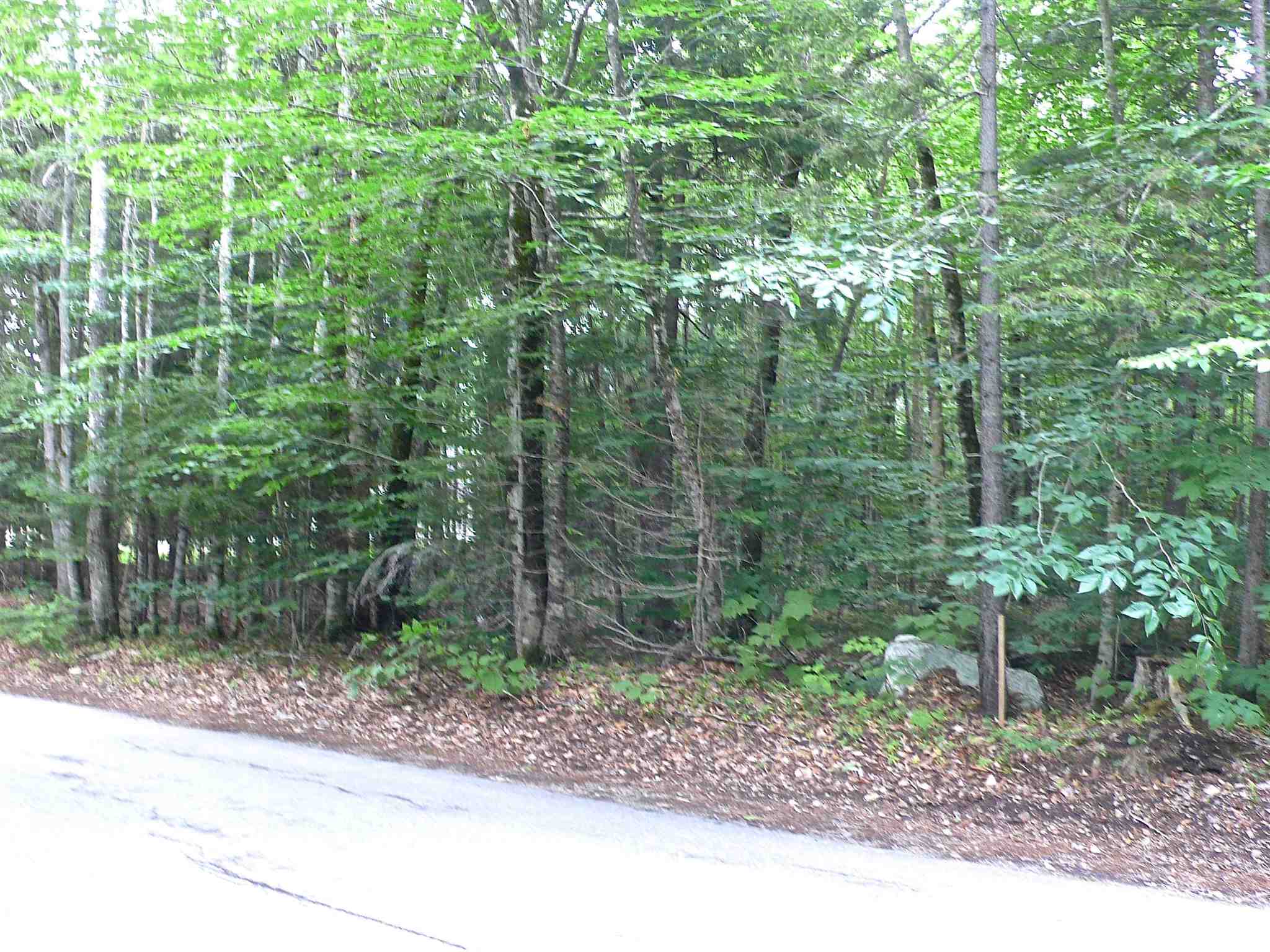127 West Branch Road, Unit C Waterville Valley, NH 03215 - Photo 7 of 17