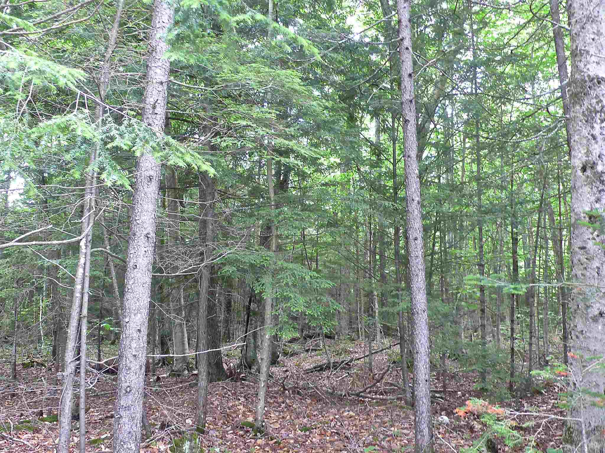 127 West Branch Road, Unit C Waterville Valley, NH 03215 - Photo 8 of 17