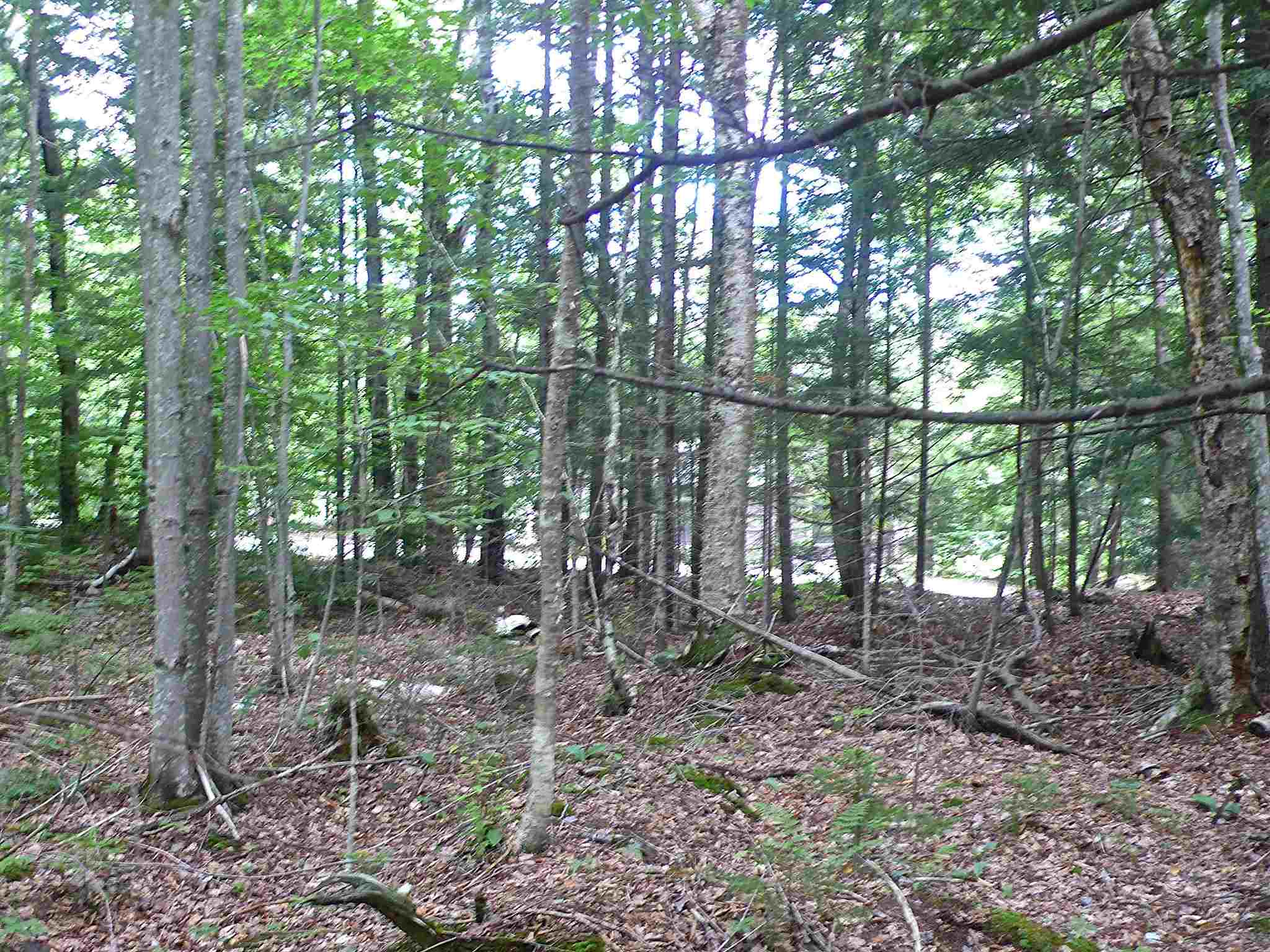127 West Branch Road, Unit C Waterville Valley, NH 03215 - Photo 9 of 17