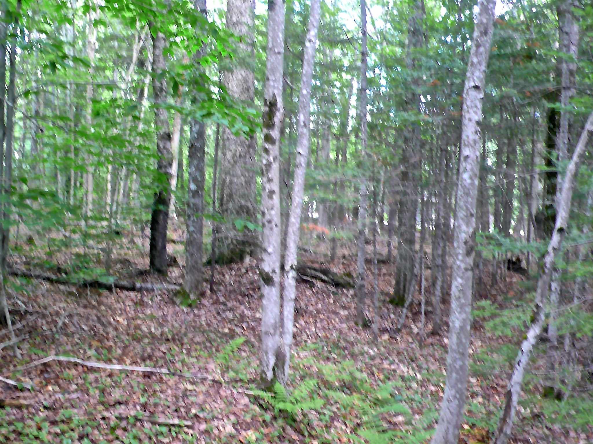 127 West Branch Road, Unit C Waterville Valley, NH 03215 - Photo 10 of 17