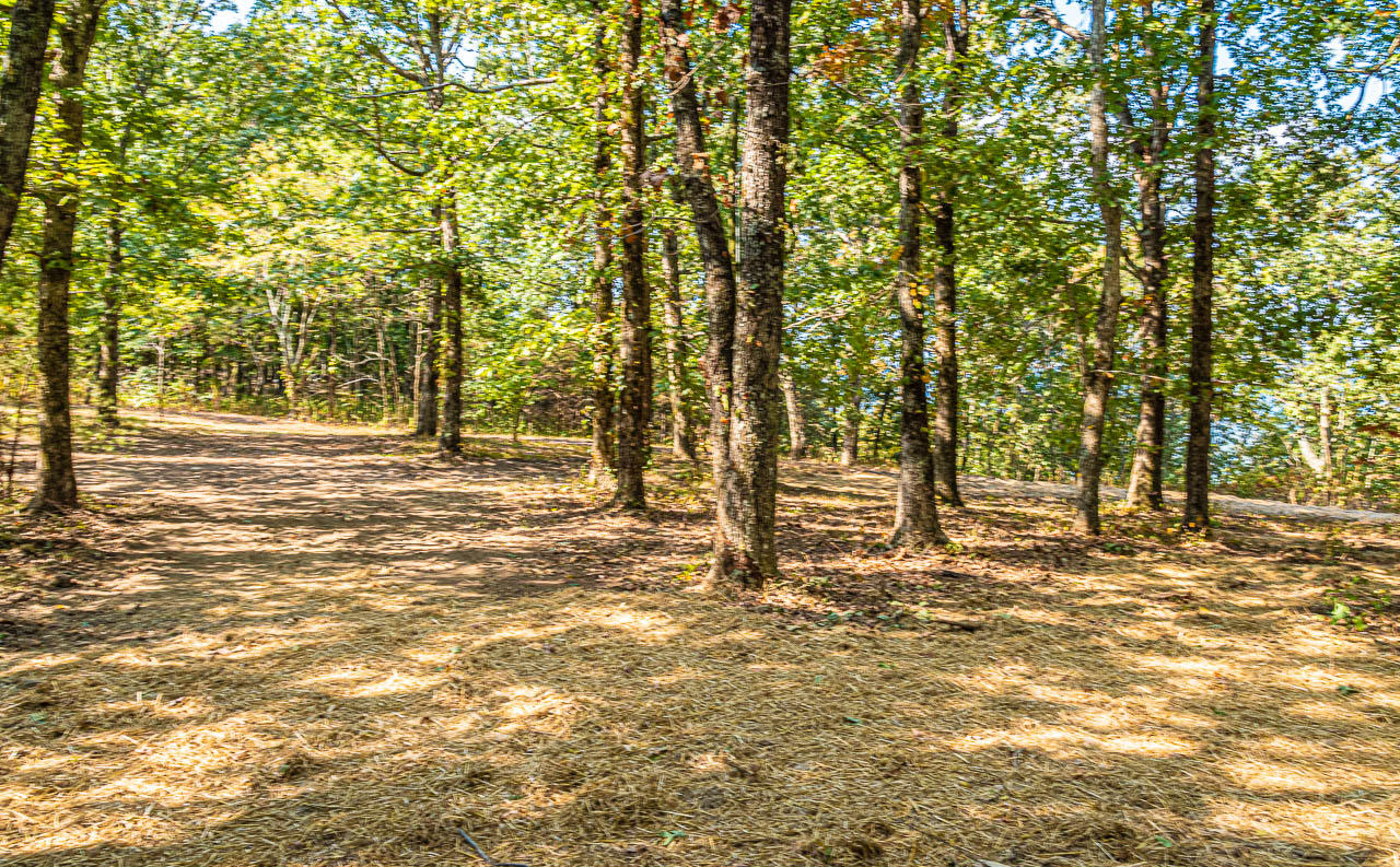6050 Old State Road Cloudland, GA 30731 - Photo 11 of 14 OS-10