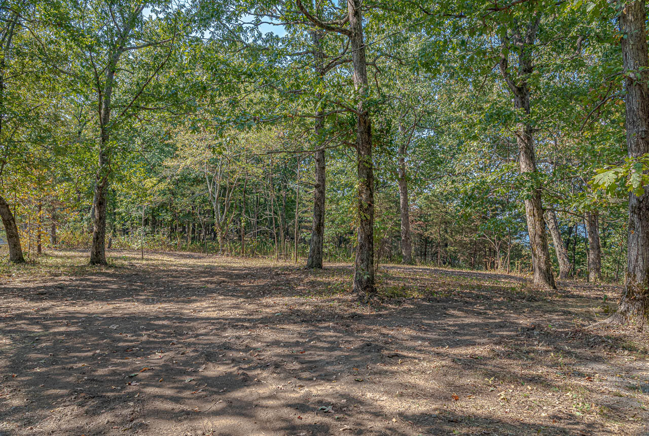 6050 Old State Road Cloudland, GA 30731 - Photo 12 of 14 OS-11