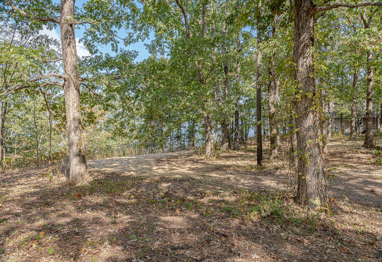 6050 Old State Road Cloudland, GA 30731 - Photo 7 of 14 OS-2
