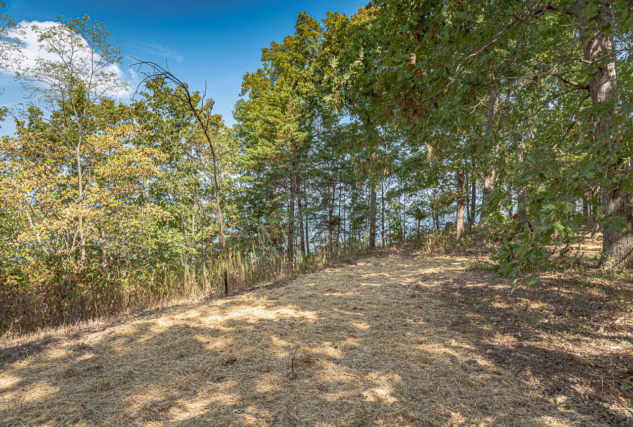 6050 Old State Road Cloudland, GA 30731 - Photo 8 of 14 OS-3