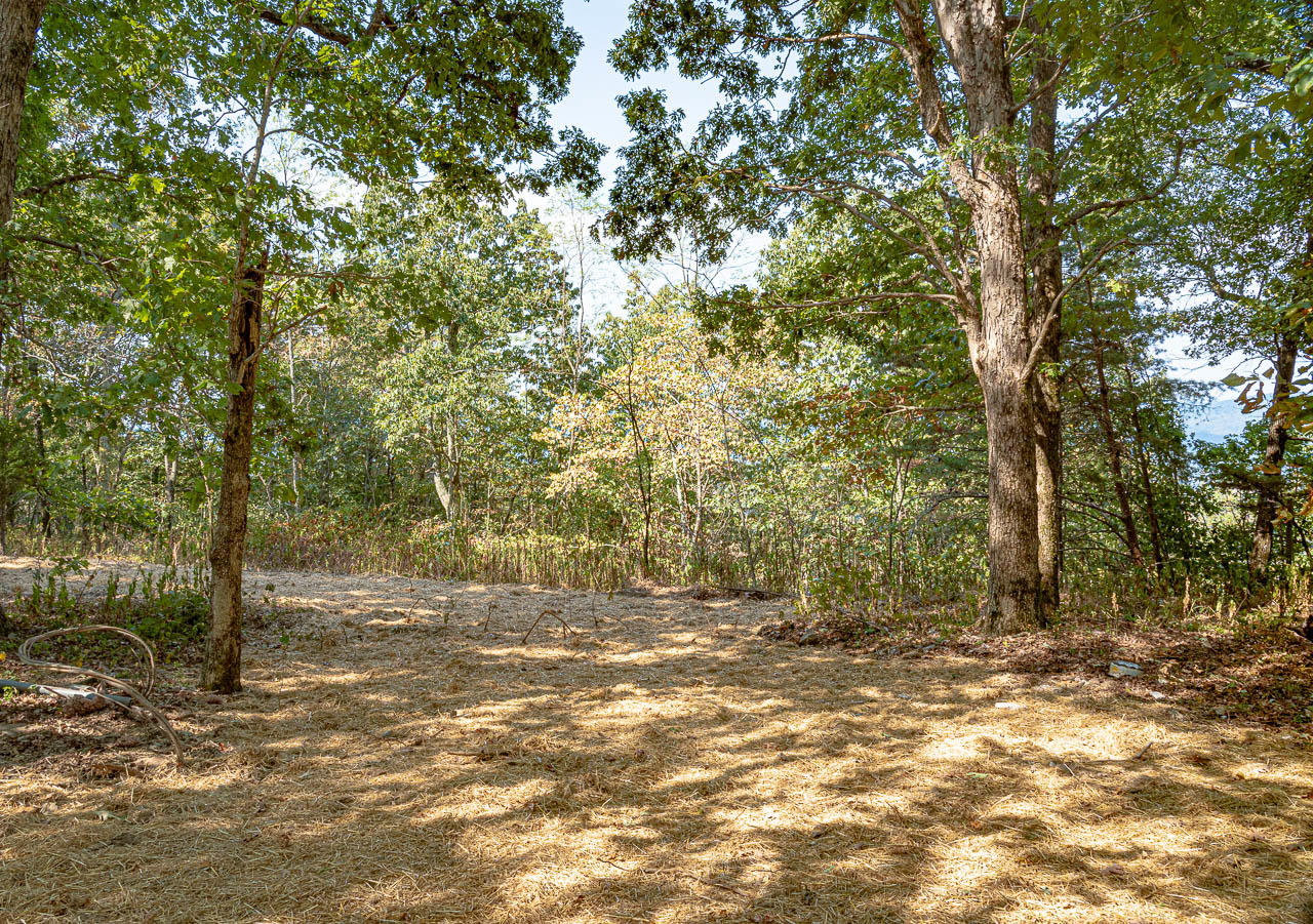 6050 Old State Road Cloudland, GA 30731 - Photo 9 of 14 OS-8