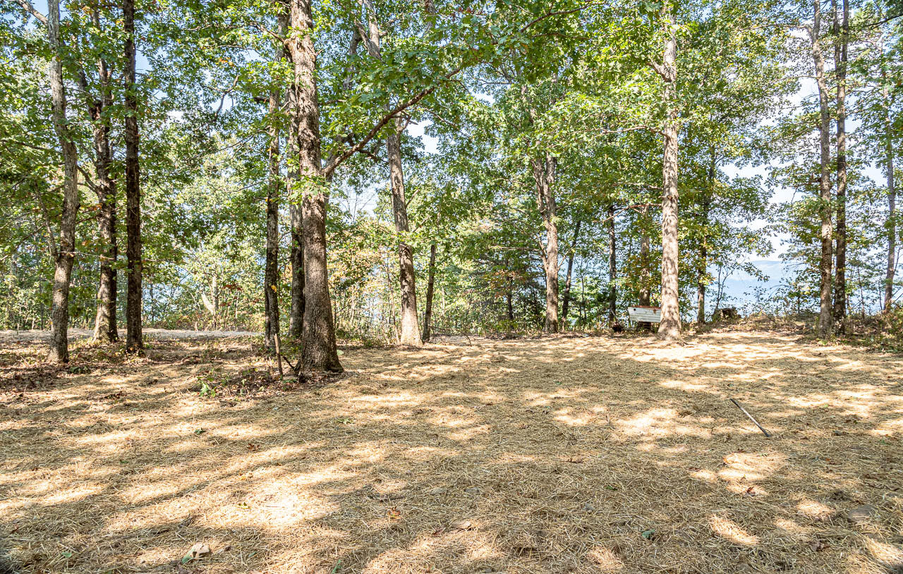 6050 Old State Road Cloudland, GA 30731 - Photo 10 of 14 OS-9