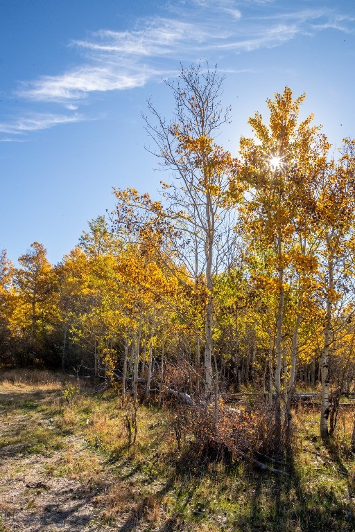 3007 Coyote Creek Road Dillon, MT 59725 - Photo 45 of 48 Gallery Image 45