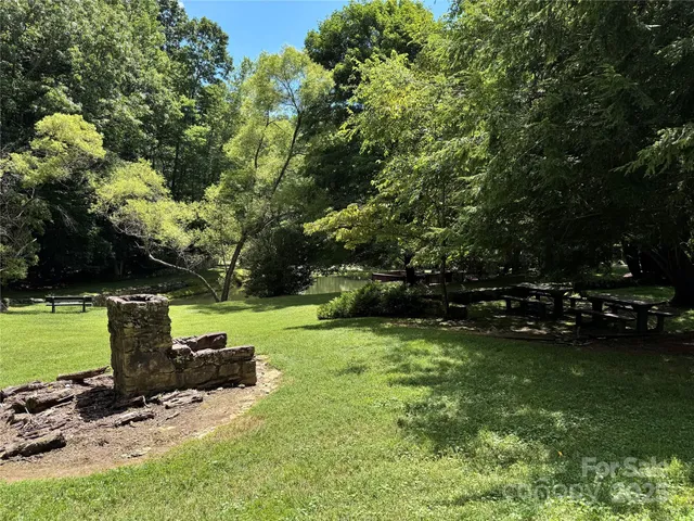 a view of a garden with a bench