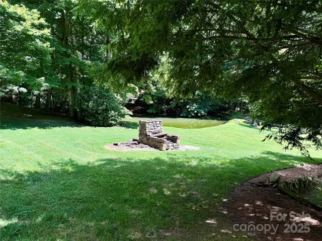 a view of garden with tall trees