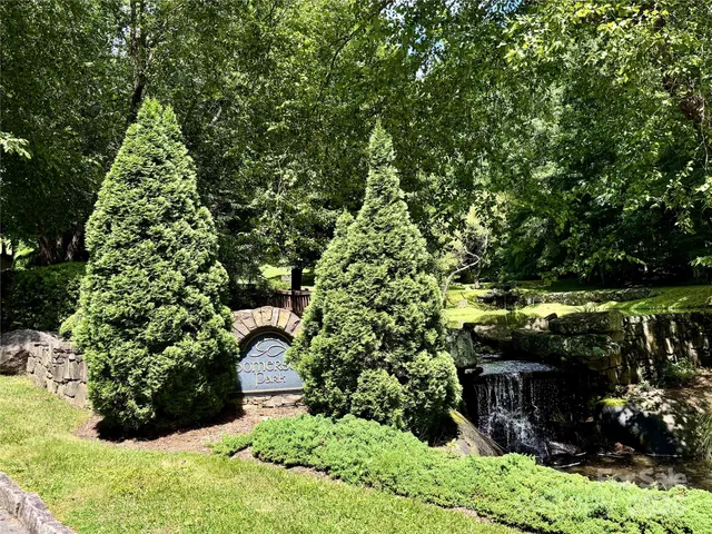 a pathway of a garden