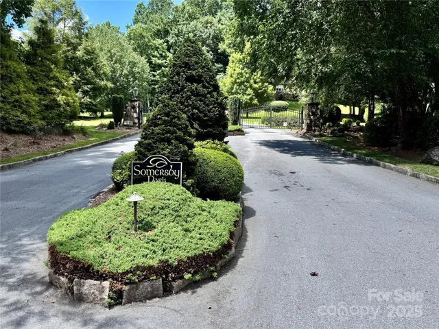 a view of a garden with plants