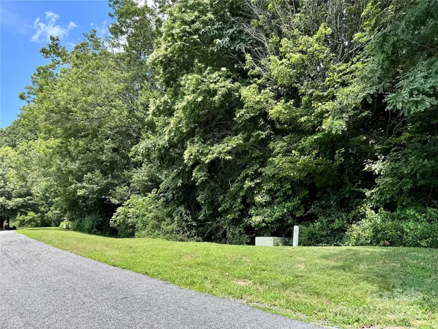 a view of a grassy field with trees in the background