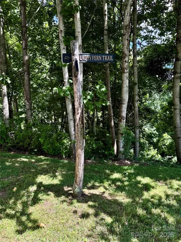 a view of a tree in a yard