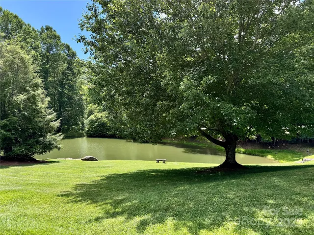 a view of a trees in a park