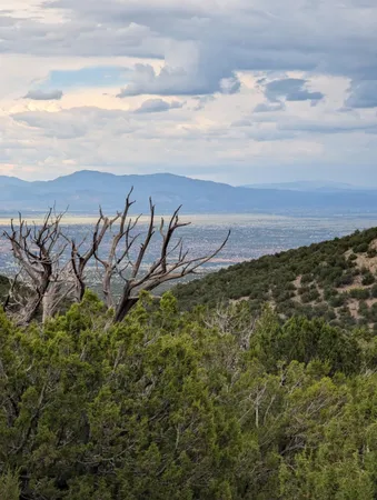 $146,000 | 0 Ortiz Mine Grant, Cerrillos, NM 87010