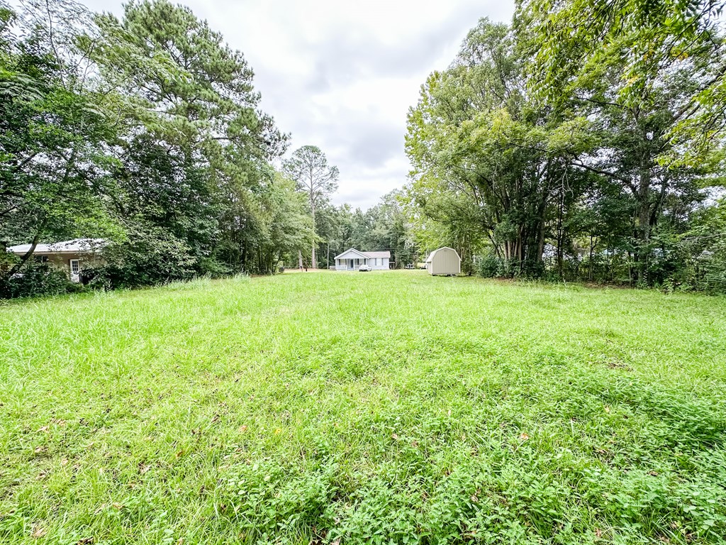 0 Hart Street Geneva, AL 36340 - Photo 2 of 5