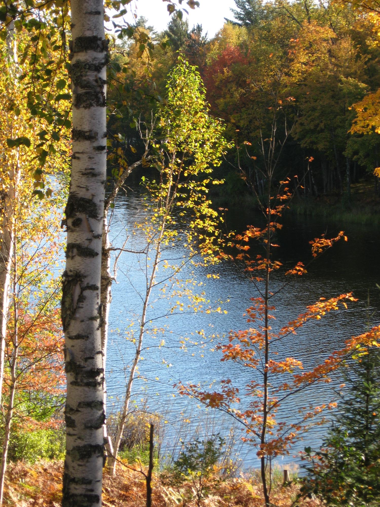 6998 Rosalind Road Presque Isle, WI 54557 - Photo 19 of 66 Gallery Image 19