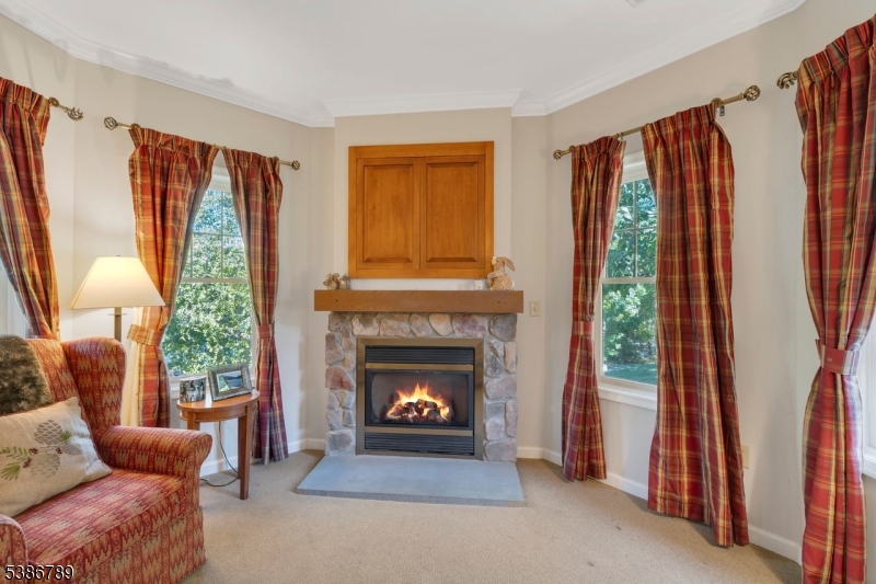 1 Maple Crescent, Unit 13 Vernon, NJ 07462 - Photo 9 of 29 a living room with furniture and a fireplace