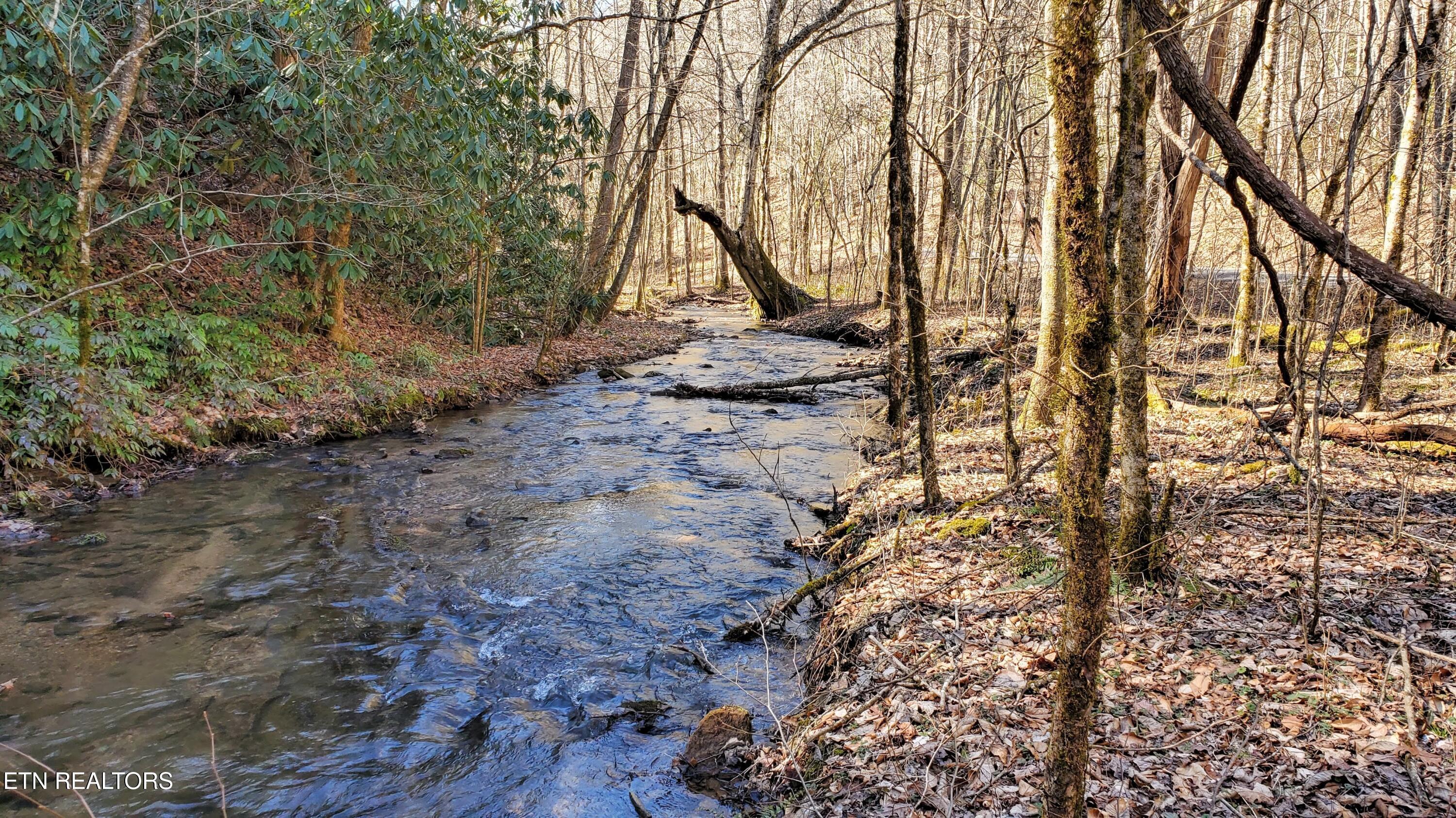 One mile of frontage on Reed Creek