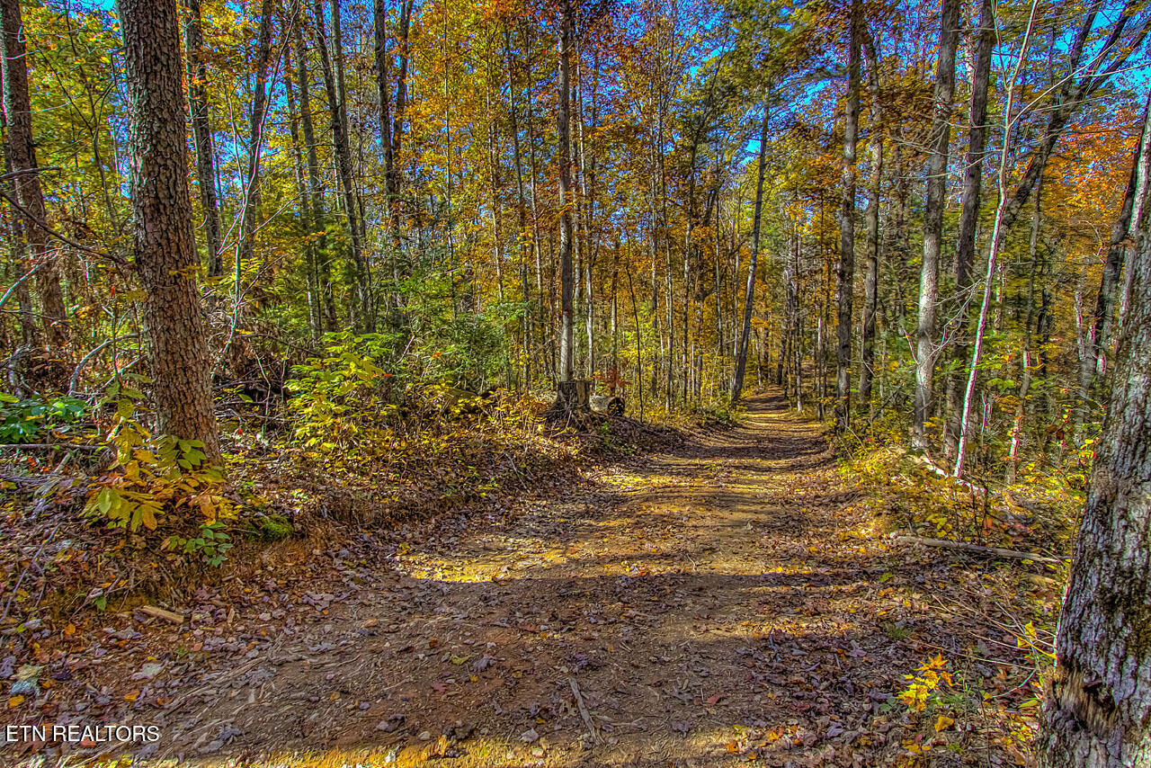 1968 East Millers Cove Road Walland, TN 37886 - Photo 12 of 32 IMG_9520LR