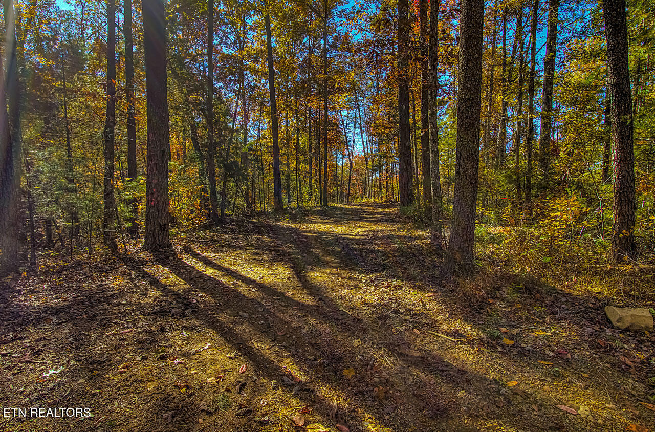 1968 East Millers Cove Road Walland, TN 37886 - Photo 13 of 32 IMG_9523LR