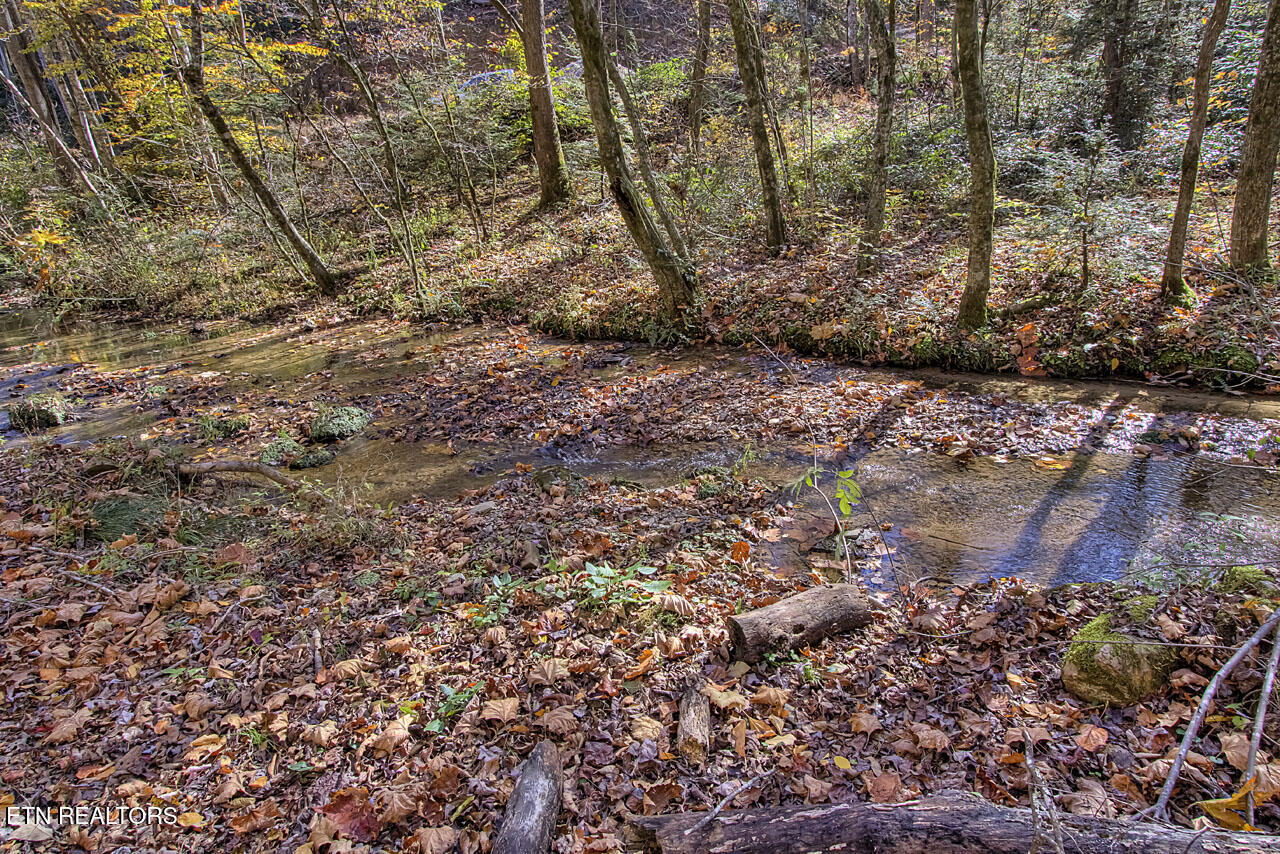 1968 East Millers Cove Road Walland, TN 37886 - Photo 14 of 32 IMG_9595LR
