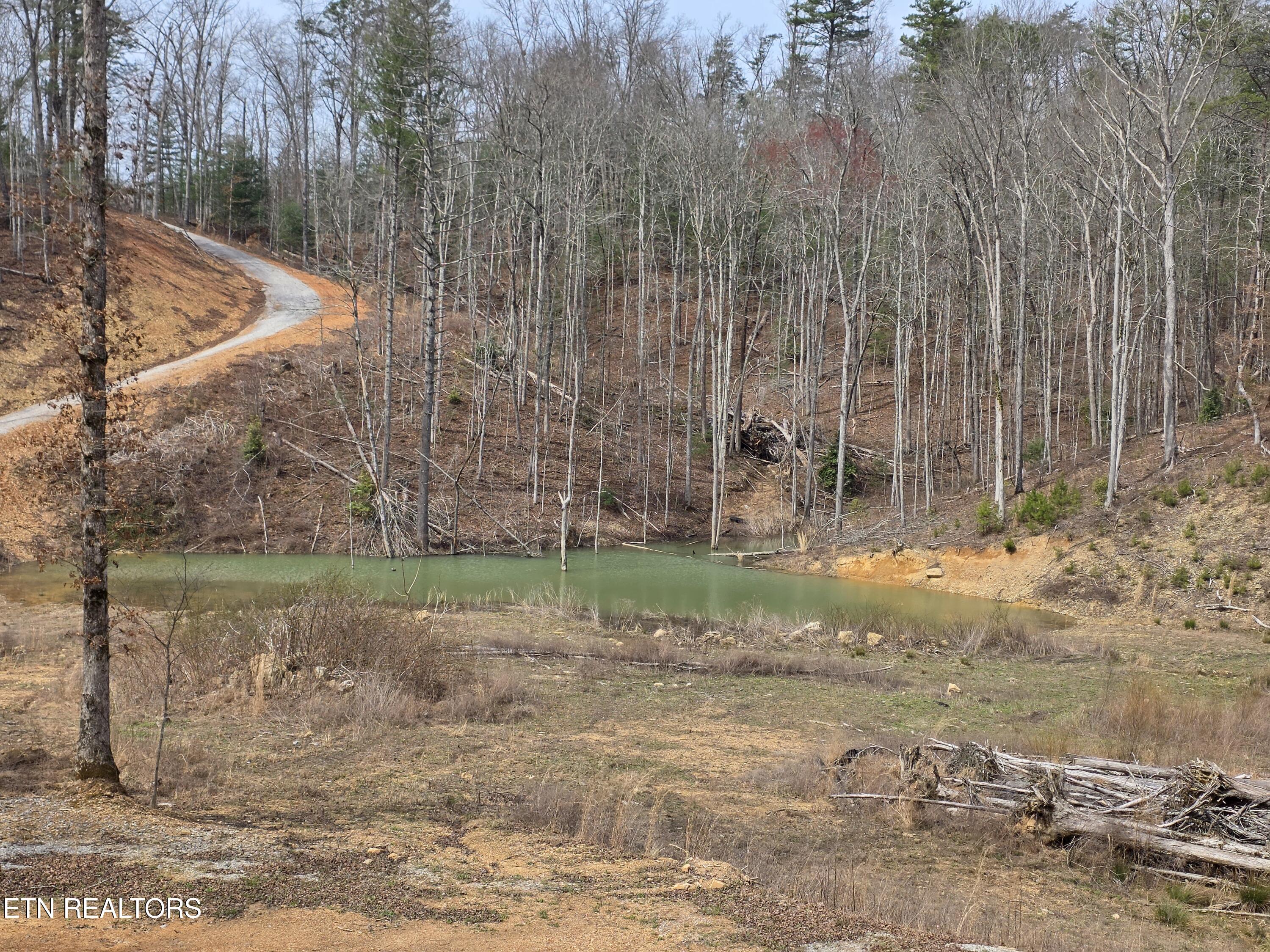 1968 East Millers Cove Road Walland, TN 37886 - Photo 16 of 32 20260320_134257