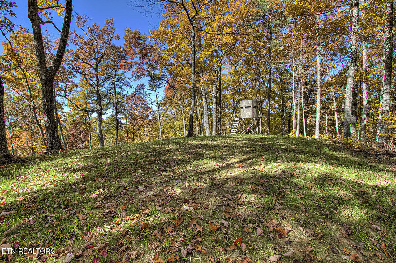 1968 East Millers Cove Road Walland, TN 37886 - Photo 18 of 32 Ridge Food plot