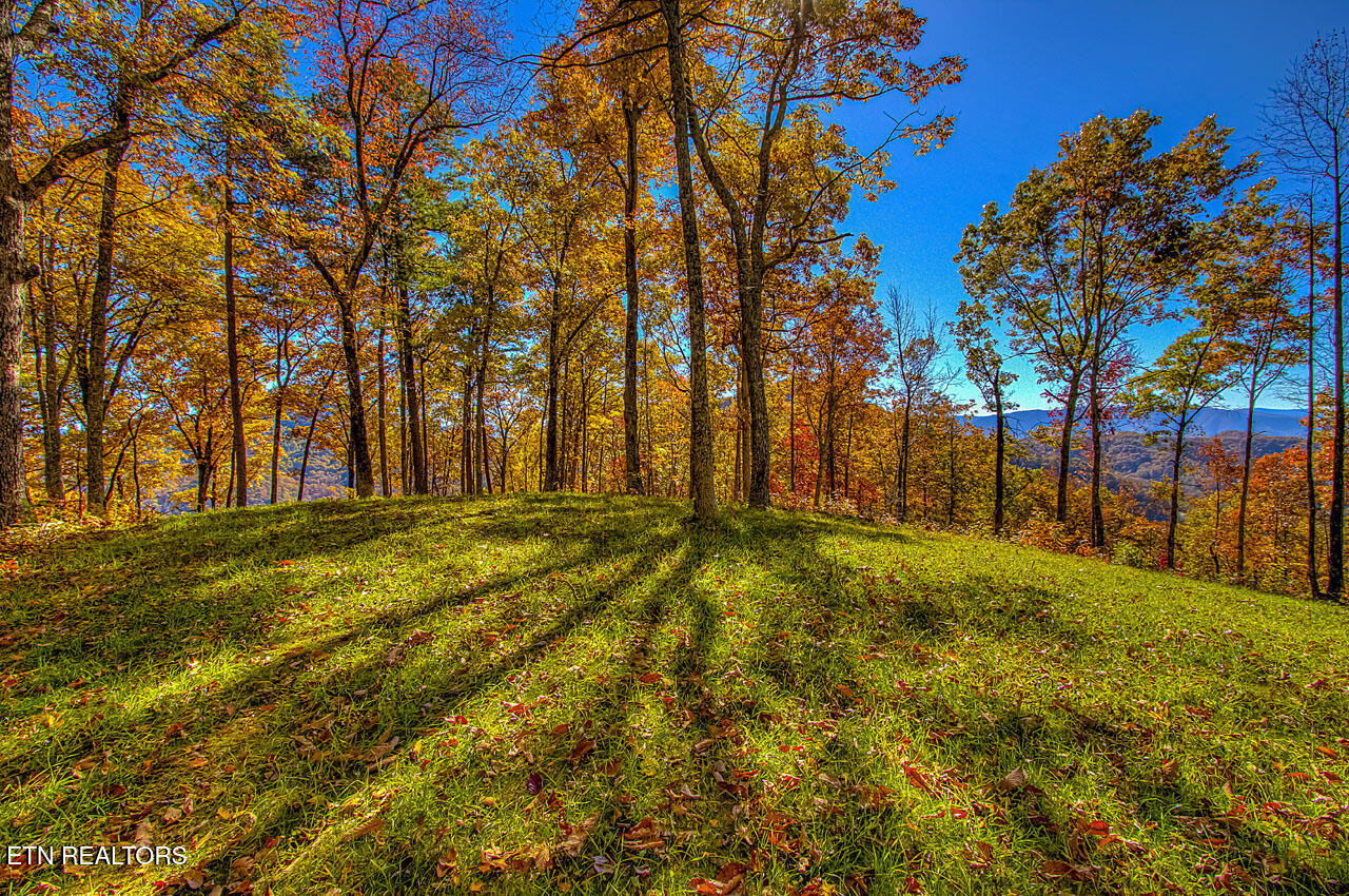 1968 East Millers Cove Road Walland, TN 37886 - Photo 21 of 32 West Ridge South