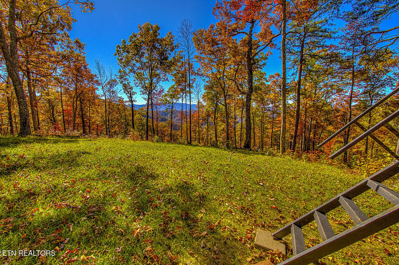 1968 East Millers Cove Road Walland, TN 37886 - Photo 22 of 32 West Ridge Sweet Spot