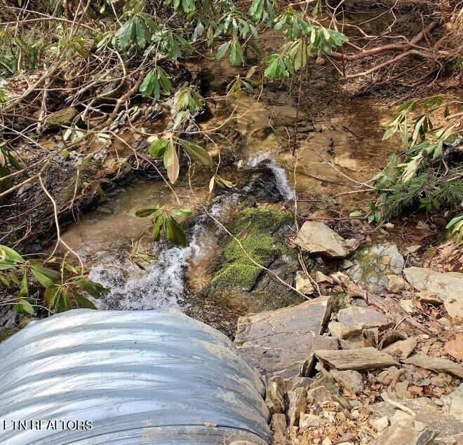 1968 East Millers Cove Road Walland, TN 37886 - Photo 24 of 32 West 03-2026