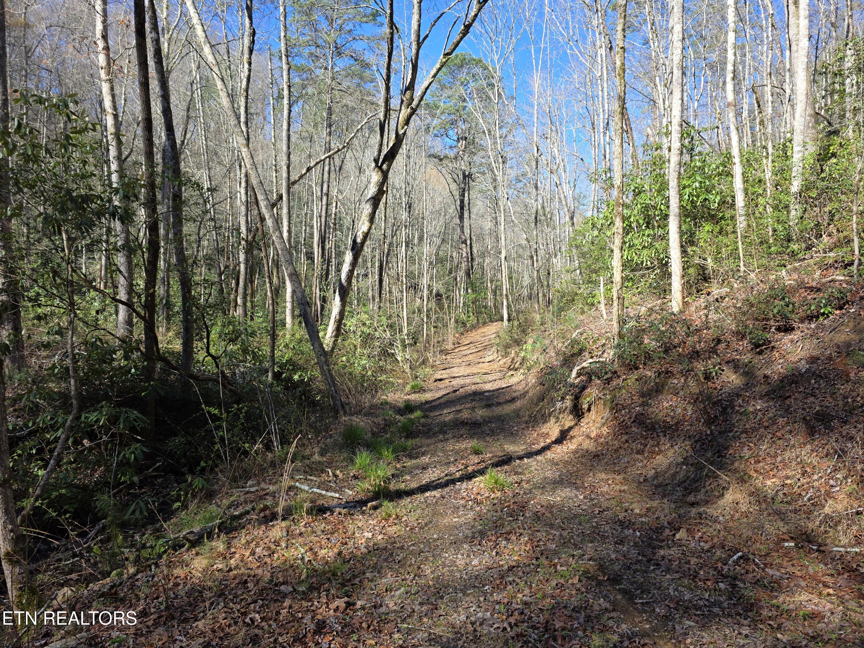 1968 East Millers Cove Road Walland, TN 37886 - Photo 25 of 32 West 03-2026