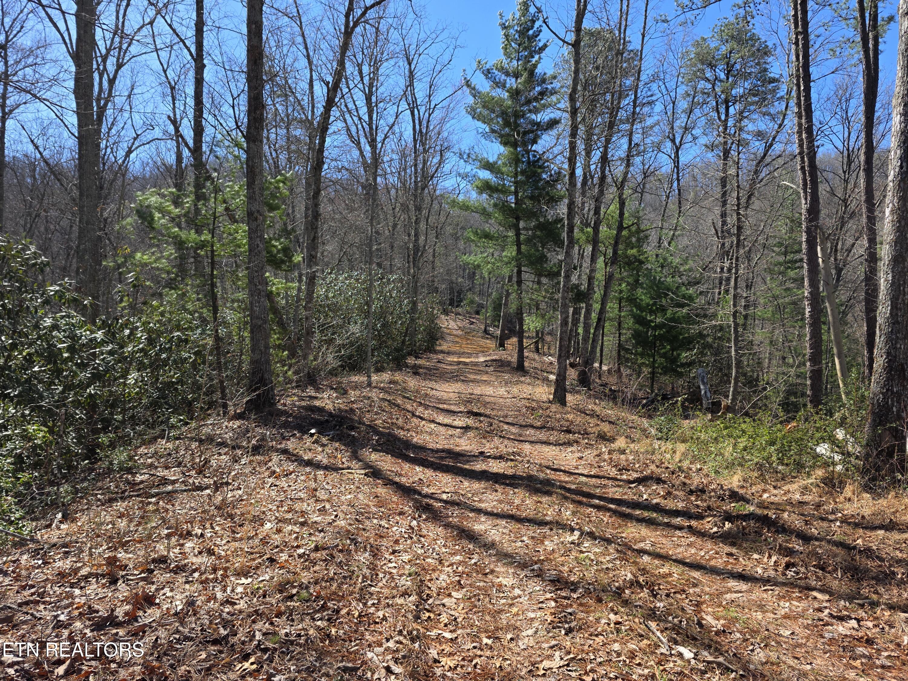 1968 East Millers Cove Road Walland, TN 37886 - Photo 26 of 32 West 03-2026