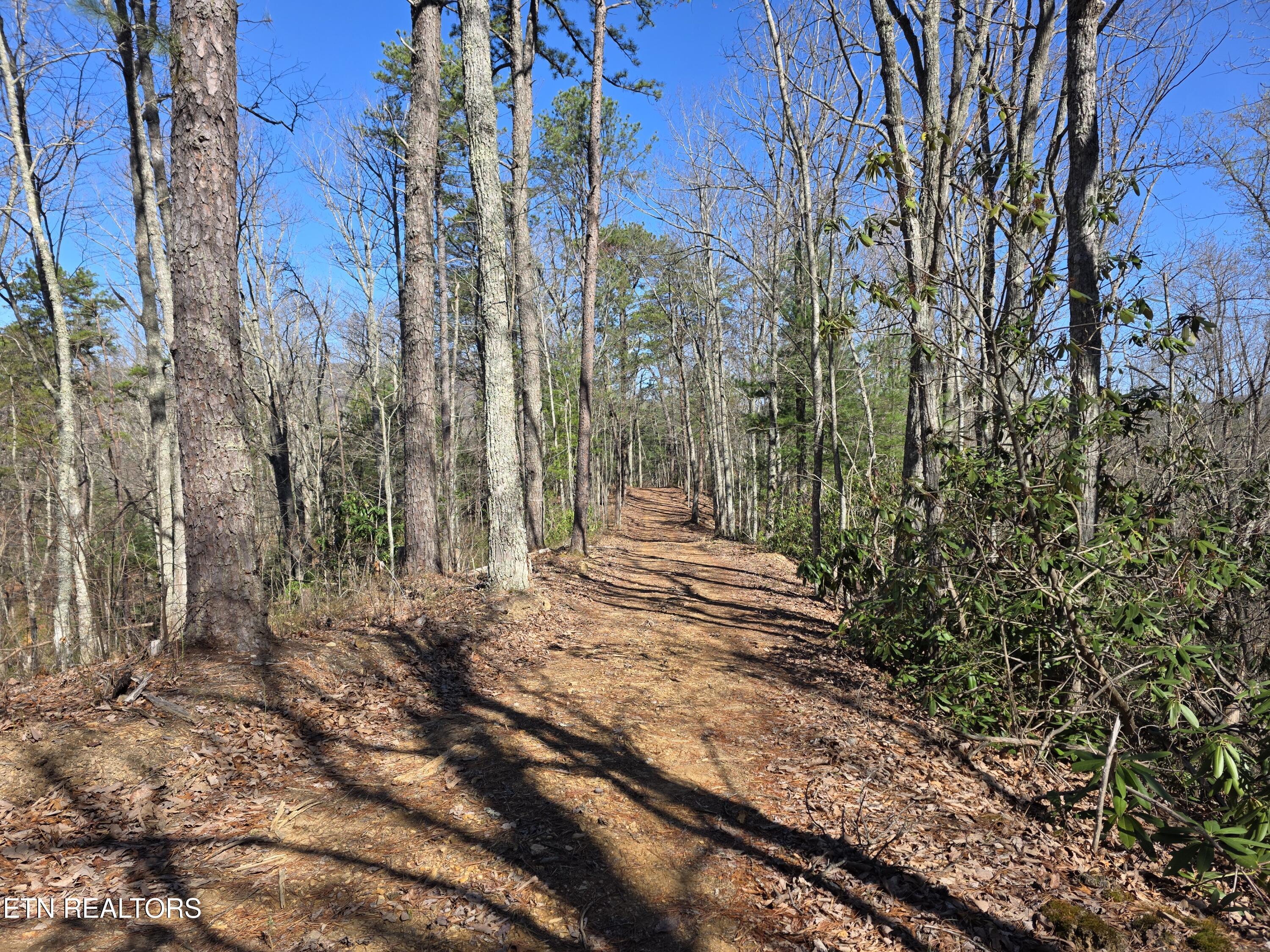 1968 East Millers Cove Road Walland, TN 37886 - Photo 27 of 32 West 03-2026