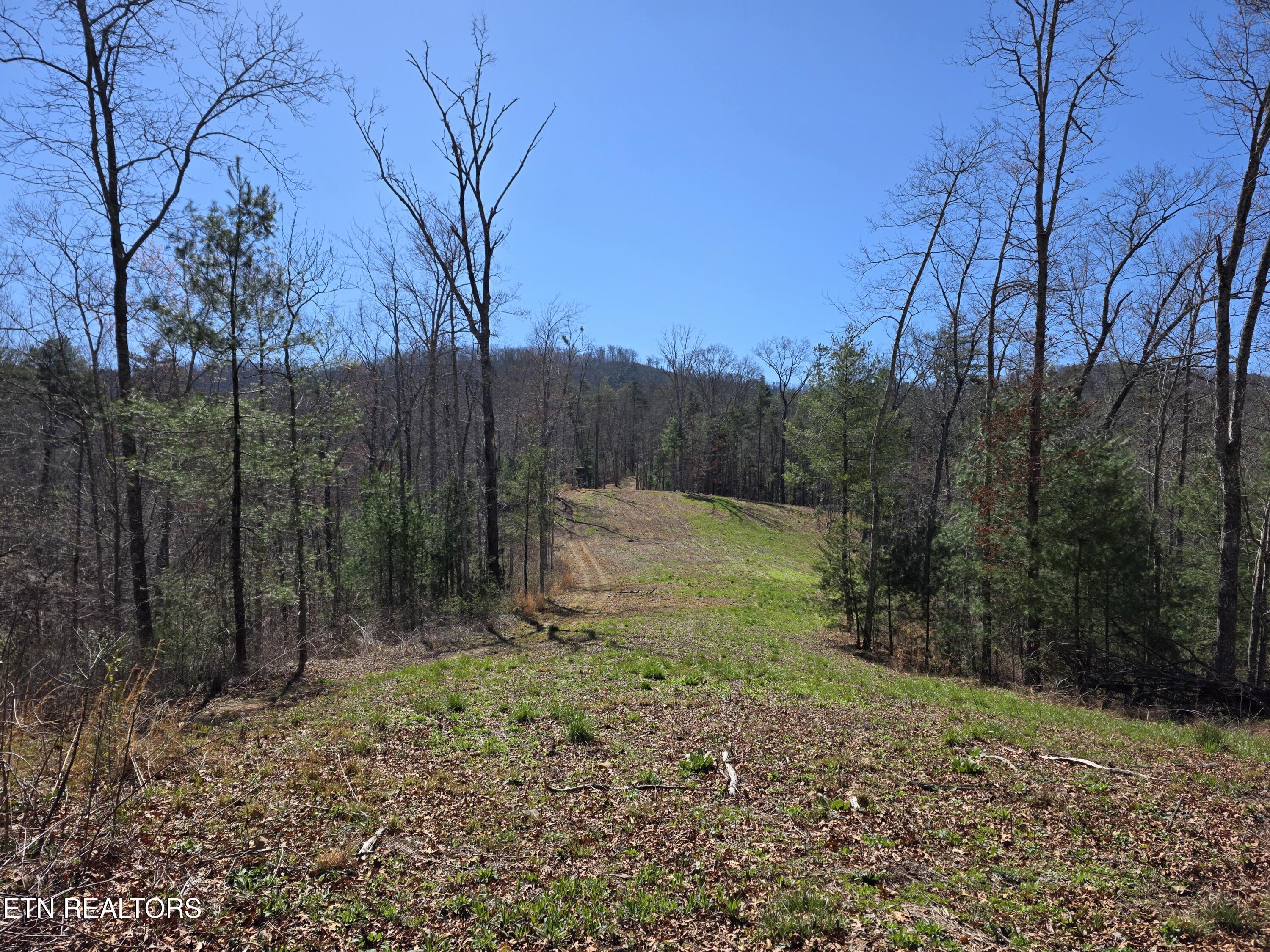 1968 East Millers Cove Road Walland, TN 37886 - Photo 28 of 32 West 03-2026