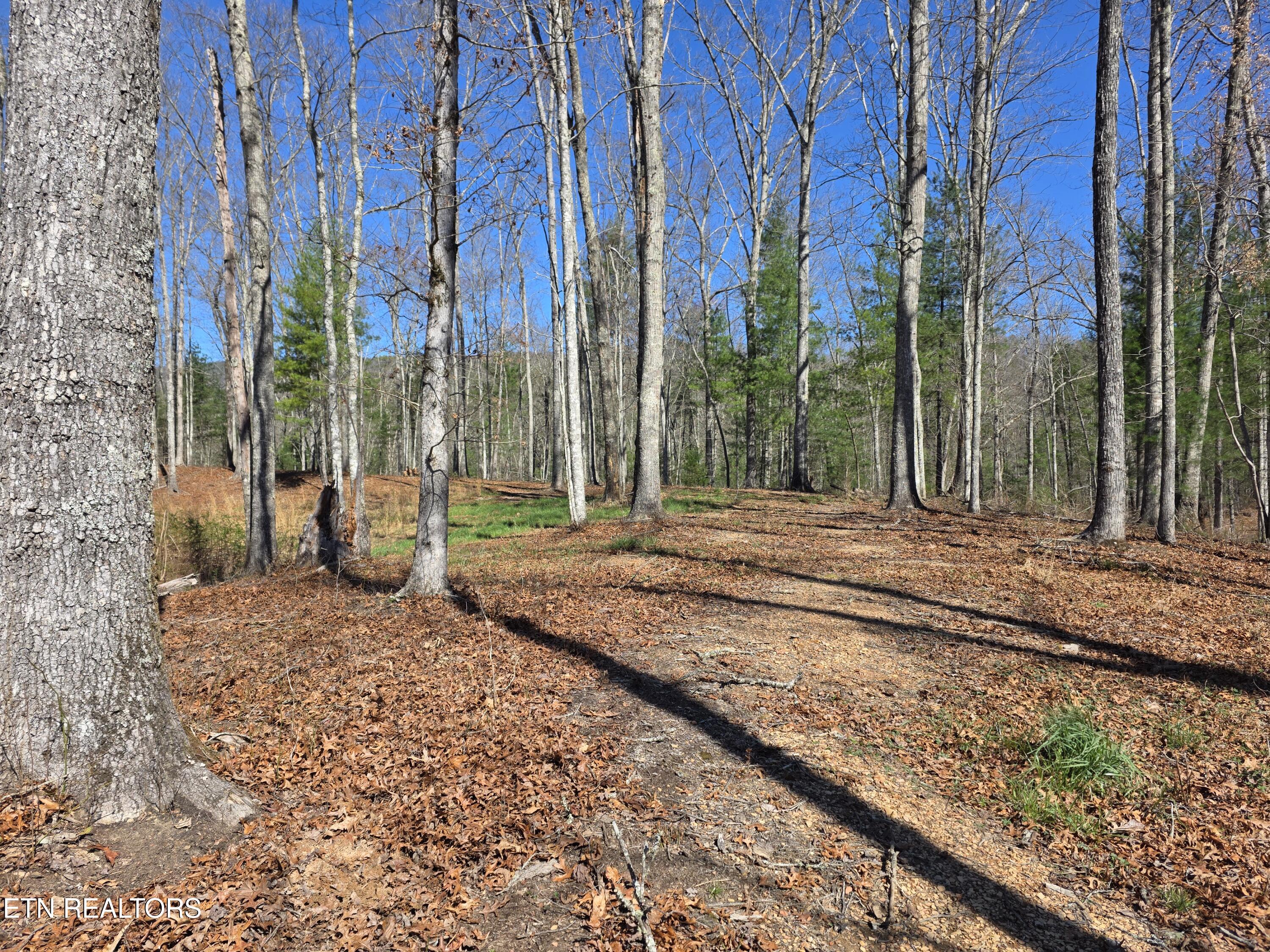 1968 East Millers Cove Road Walland, TN 37886 - Photo 29 of 32 West 03-2026
