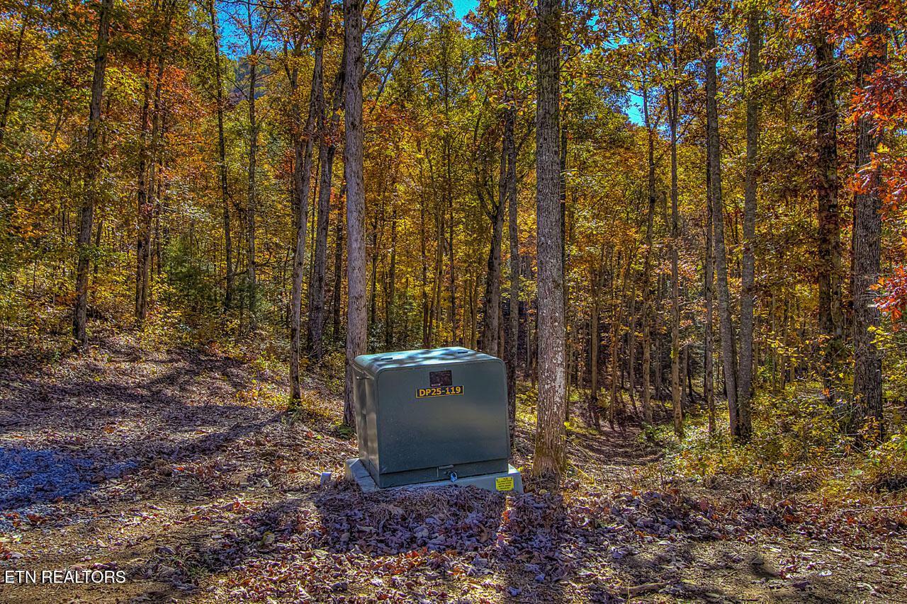 1968 East Millers Cove Road Walland, TN 37886 - Photo 30 of 32 Underground Electricity