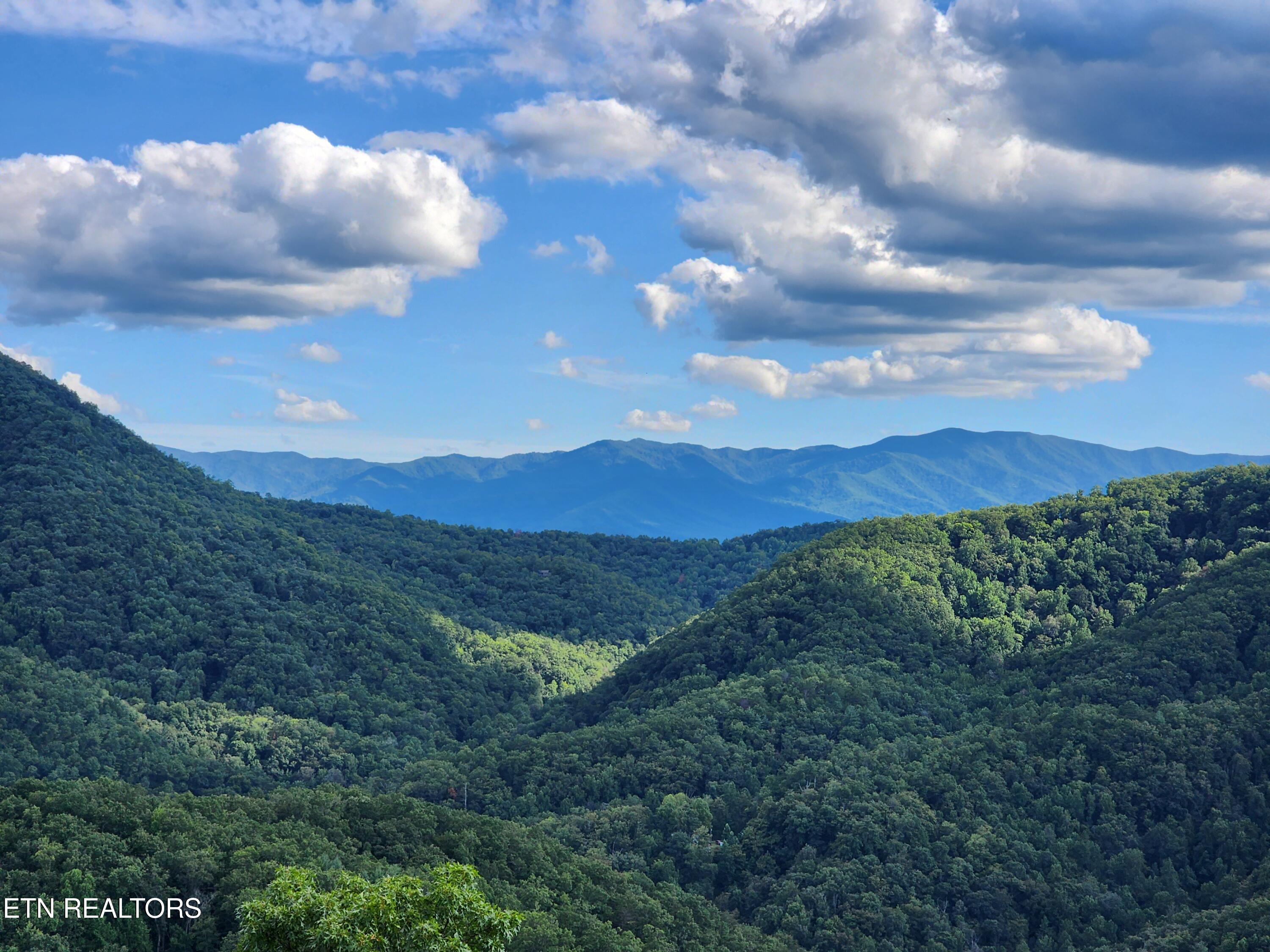 1968 East Millers Cove Road Walland, TN 37886 - Photo 6 of 32 West Ridge View