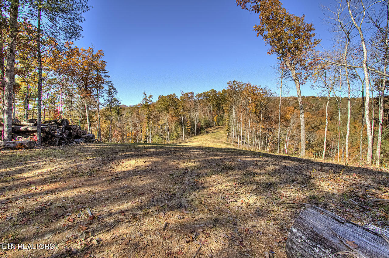1968 East Millers Cove Road Walland, TN 37886 - Photo 7 of 32 Field 2 to potential access point