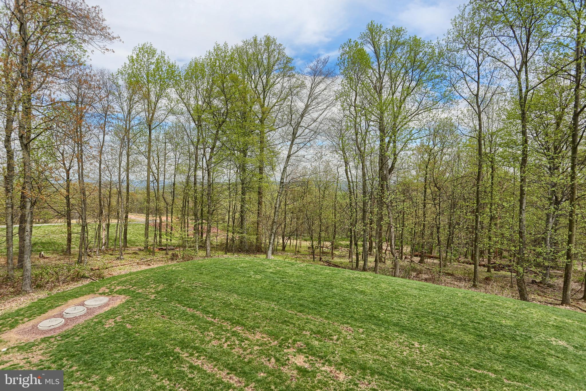 162 Overlook Road Morgantown, PA 19543 - Photo 42 of 52 Private Back Yard