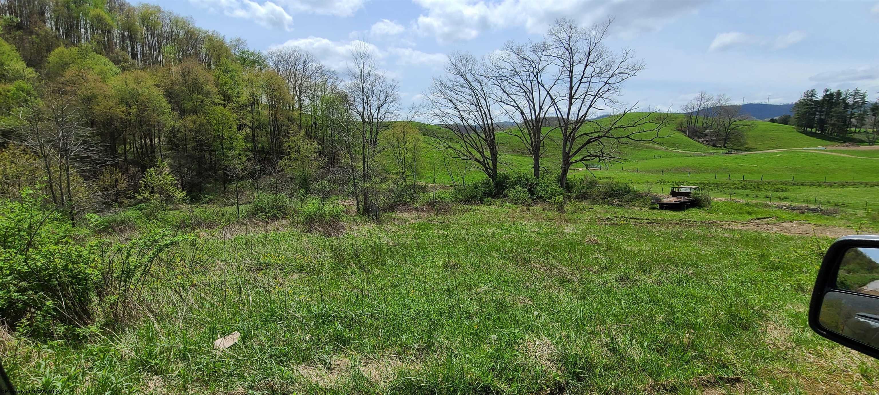 482 Wilmoth Rd Israel Church Montrose, WV 26283 - Photo 15 of 21 Gallery Image 15