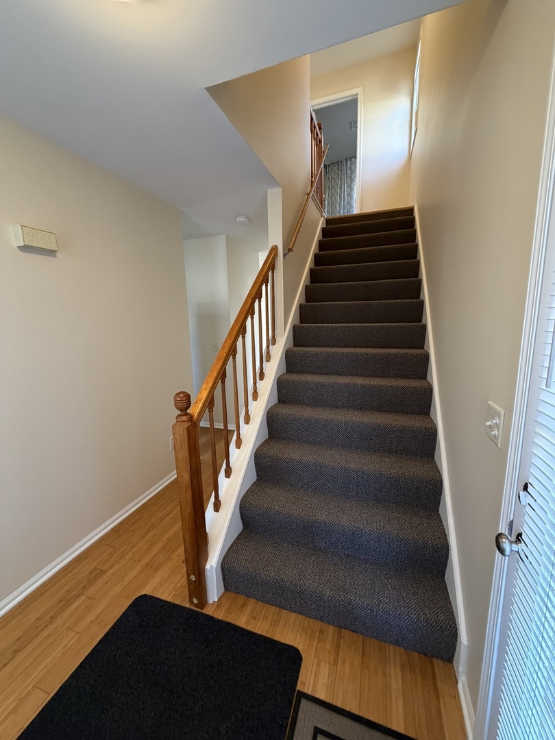 411 Richards Street Geneva, IL 60134 - Photo 6 of 21