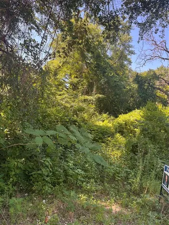 a view of a large yard with green space