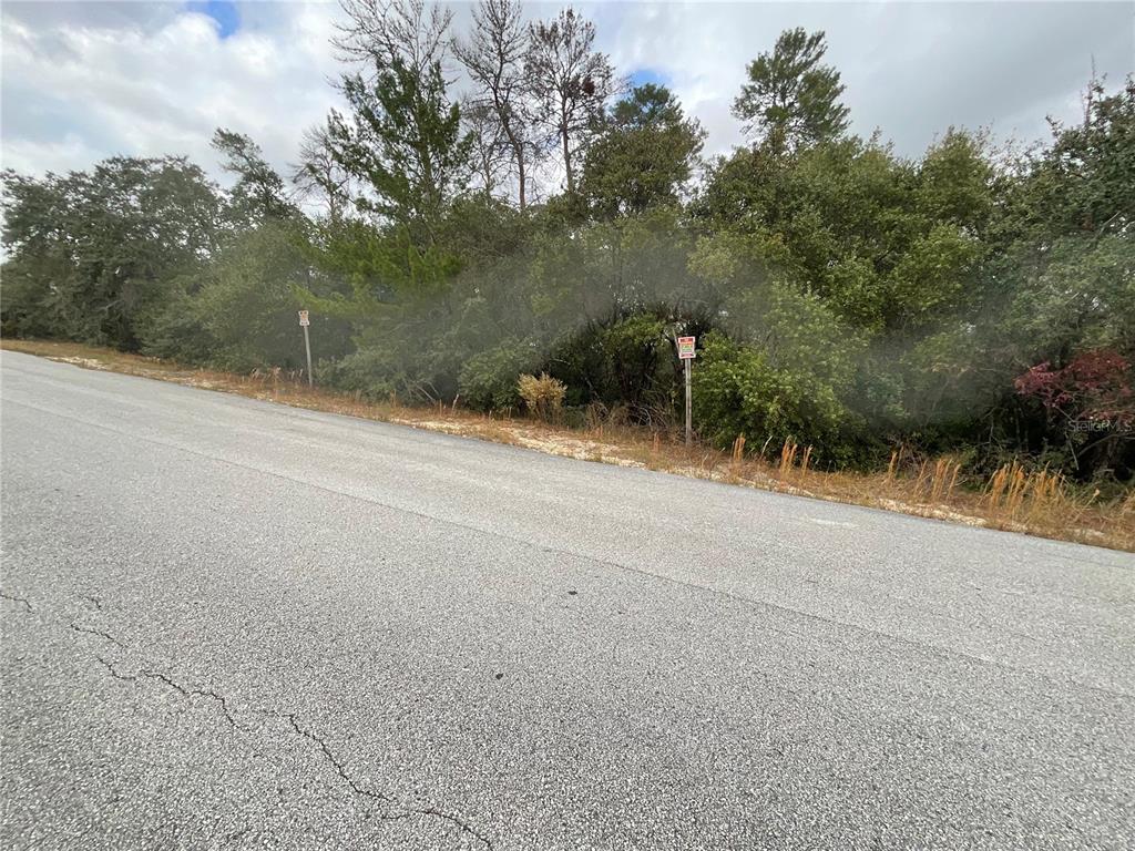 Tbd Southwest 111th Place Ocala, FL 34476 - Photo 1 of 6