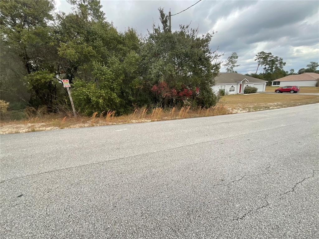 Tbd Southwest 111th Place Ocala, FL 34476 - Photo 2 of 6 a view of road and trees
