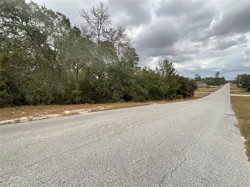 Tbd Southwest 111th Place Ocala, FL 34476 - Photo 3 of 6 a view of a terrace