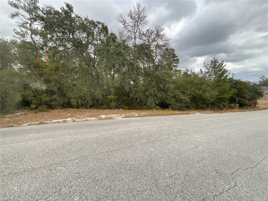 Tbd Southwest 111th Place Ocala, FL 34476 - Photo 4 of 6 a view of beach and large trees